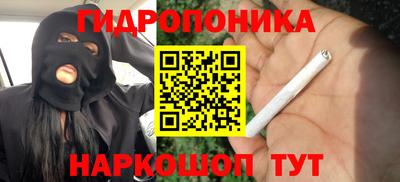ECSTASY Камышлов
