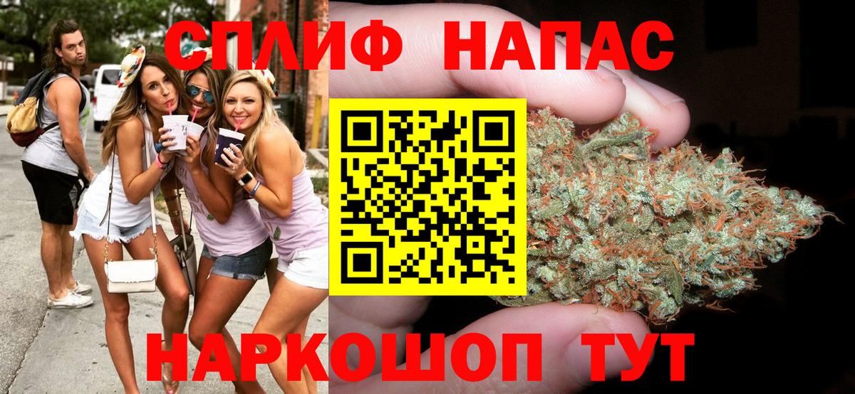 Бошки Шишки марихуана Вологда